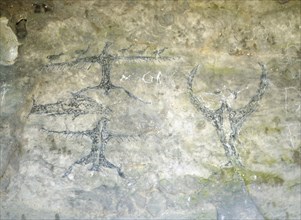 An early Maori rock drawing, from a limestone shelter, of a fish with several bird like figures