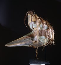 Humanoid bird mask