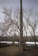 The totem pole of Chief Git dum Kuldoah