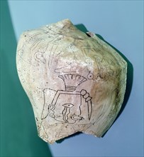 Conch shell incised with design of a head, possibly representing a shaman