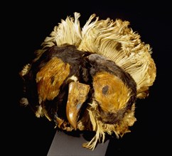Ornament made of owl feathers and bone
