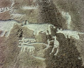 Petroglyphs, including oxen and a person ploughing