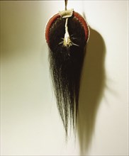 Scalp which has been stretched on a wooden hoop