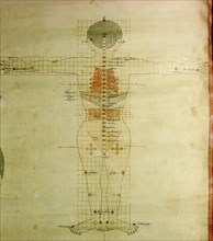 A medical thangka from a version of the commentary on the ancient Four Tantras, the fundamental treatise of Tibetan medicine