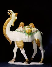 Almost all the cargo that gave the fabled Silk Road its name was borne by the camel