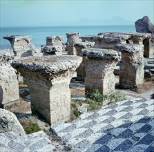 Ruins of the Roman baths at Carthage