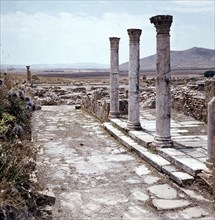 The Roman ruins at Thuburba Majus