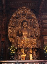 Statue of the Yakushi Nyorai or Buddha of Medicine and Healing