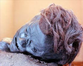 View of the head of Grauballe Man