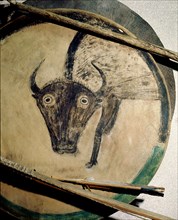 Shield cover painted with an image of a bison
