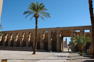 The colonnaded north wall of the forecourt of the Great Hypostyle Wall