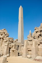 The obelisk raised by Tuthmosis II