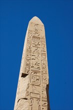 The obelisk raised by Tuthmosis II