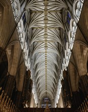 Vaulting of the nave looking towards the west