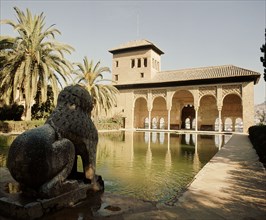 The pool of the Partal and the Torre de las Damas in the Alhambra Palace, Granada
