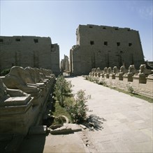 Avenue of the Rams at the temple of Amun, Karnak