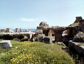 Ruins of Roman Carthage