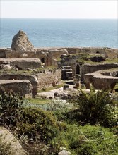 Ruins of Roman Carthage