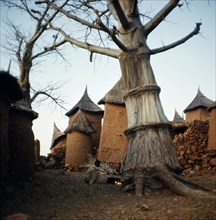 Thatched granaries in a Dogon village