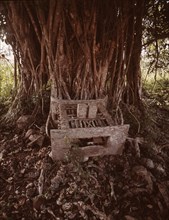 A stool shrine associated with the spirit of the tree