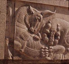 A detail of a relief carving on the staircase leading to the Tripylon at Persepolis, depicting a lion attacking a bull