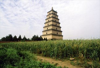 The Great Goose Pagoda, a rare example of original Tang dynasty architecture