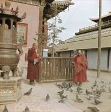 View of Buddhist monks feeding pigeons