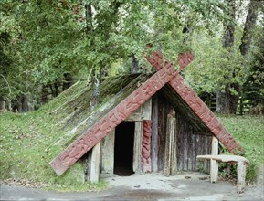 The house of the tohunga (chief) Tuhoto at the village of Te Wairoa, which was buried by the eruption of the volcano Mt