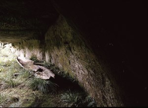 Kaingaroa caves