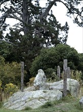 Kumara stone fertility god statue, said to have been brought from the legendary Maori homeland of Hawaiki in the ancestral Arawa canoe