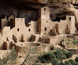 Part of the Cliff Palace at Mesa Verde showing dwellings and kivas