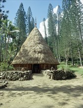 A circle of tall trees surrounds a meeting house on New Caledonia