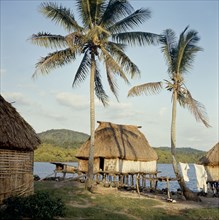 A thatched Fijian house