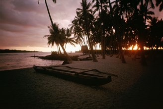 Sunset in the palm groves around a Marae, temple site, near Hanaunau on the west coast of Hawaii