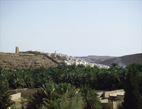 One of the oases of the Mzab valley