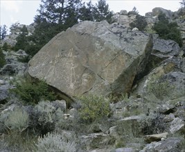 Rock engraving at Wind River Basin, Wyoming