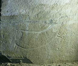 Rock engraving depicting an animal