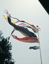 Paper carp kites flown outside houses as a sign of virility on "Boys' Day"
