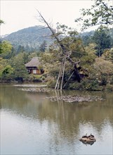 The Zen garden of the Ryoan-ji temple in Kyoto