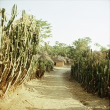 A Miango village near Jos