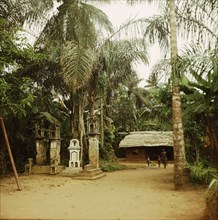 A village in the Calabar area, Niger delta
