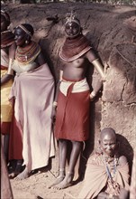 Young Masai women in ceremonial dress