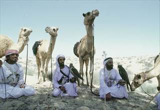 Hawking is a traditional sport of the Bedu and is still very popular in the Emirates