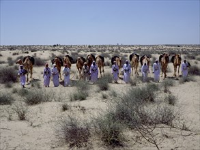 A party of Bedouin leading their camels in the desert