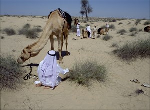 A party of Bedouin tending their camels in the desert