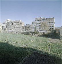 A view of San'a