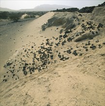 Landscape near Ma'rib