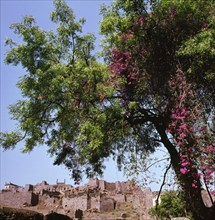 Golconda in the Deccan, once a rich and powerful state, it is now deserted and in ruins