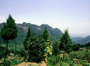 Qincheng (Green City) mountain, one of the birth places of Taoism and still a Taoist centre