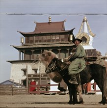 Mongolian on horseback transporting his yurt on a camel, in the centre of Ulan Bator